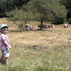 IMG_8795